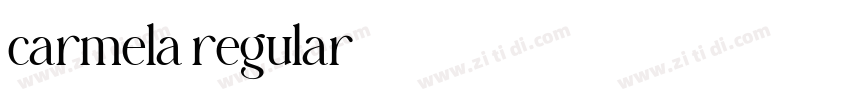 carmela regular字体转换